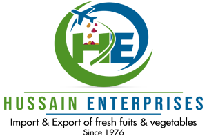 Hussain Enterprises